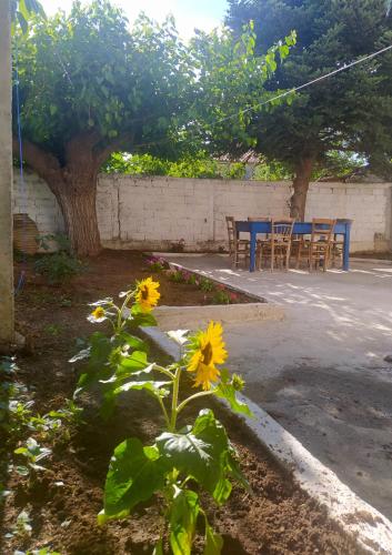 a patio with a table and chairs and a sunflower at Antonia's Rustic Retreat in Dhórion