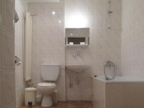 a white bathroom with a toilet and a sink at Hotel of Bulgarian Academy of Sciences in Sofia
