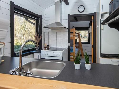 eine Küche mit einer Spüle und einer Theke mit Pflanzen in der Unterkunft 4 person holiday home in Nibe in Nibe