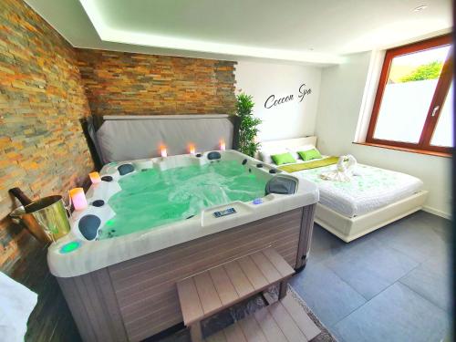 Fotografia z galérie ubytovania COCOON SPA-4 Pers-Jacuzzi-Parking-Jardin-Clim-Colmar v destinácii Holtzwihr