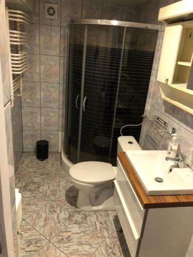 a bathroom with a toilet and a shower and a sink at Żurawie Wzgórze in Mrągowo