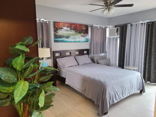 a bedroom with a bed and a ceiling fan at Lovely Condo 2 Bedrooms, 2 bathrooms, free 1 Parking at Waikiki Beach in Honolulu