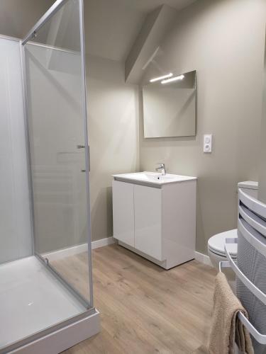 une salle de bain avec douche et lavabo dans l'établissement ESCAPADE EN BAIE 3étoiles, à Saint-Jean-le-Thomas