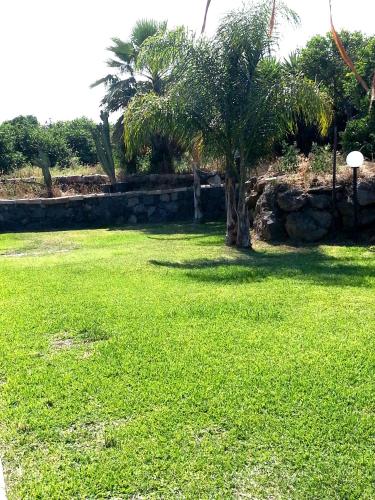 a green lawn with a palm tree in a yard at Il Rustico in Pozzillo