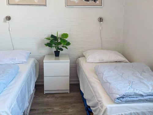 VestervigにあるHoliday Home Havvængeのナイトスタンドに植物が備わる客室のベッド2台