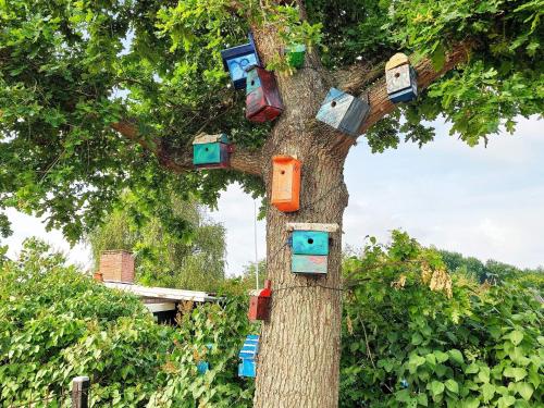 un árbol con muchas casas de colores diferentes en él en 6 person holiday home in Kors r, en Korsør