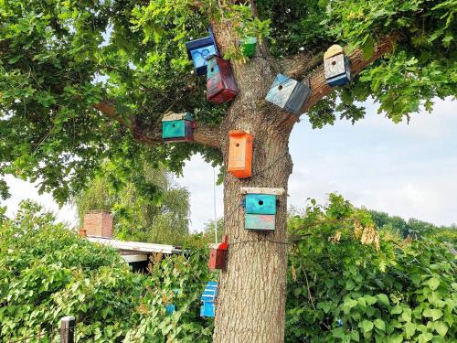 a tree with many different colored houses on it at 6 person holiday home in Kors r in Korsør