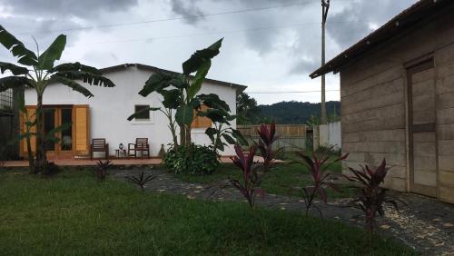 ein weißes Haus mit einem Hof mit Pflanzen in der Unterkunft Casa do Rio 