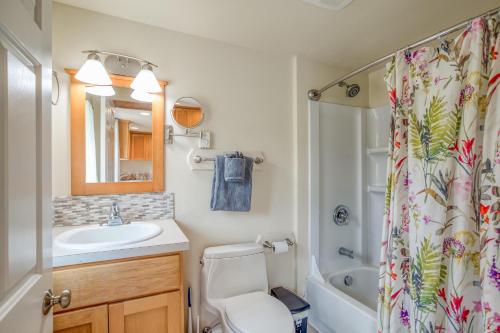 a bathroom with a sink toilet and a shower curtain at Riverfront Gem - Meredith Lodging in Cloverdale