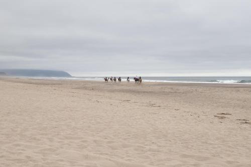 a group of people walking on the beach at Riverfront Gem - Meredith Lodging in Cloverdale
