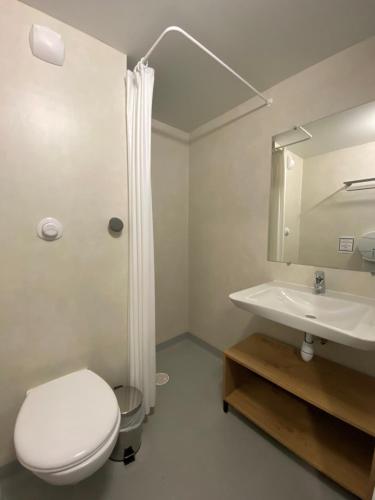 La salle de bains est pourvue de toilettes et d'un lavabo. dans l'établissement Auberge de jeunesse HI Clermont-Ferrand, à Clermont-Ferrand