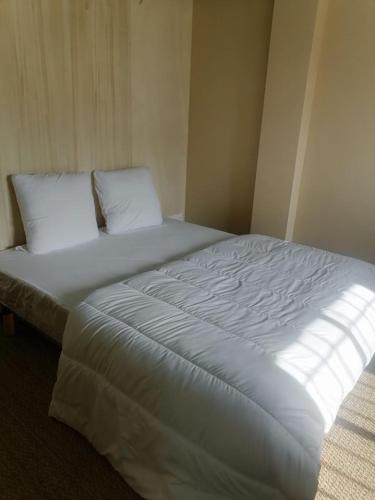 a large white bed with two pillows in a room at Le Galion -1er Ligne Vue Mer Classe3*+parking in Canet-en-Roussillon