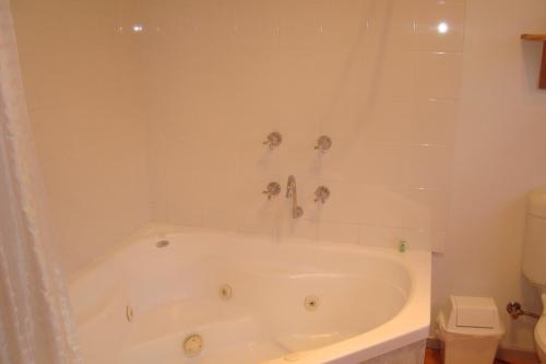 a white bath tub in a bathroom with a toilet at Elm Lodge Bright in Bright