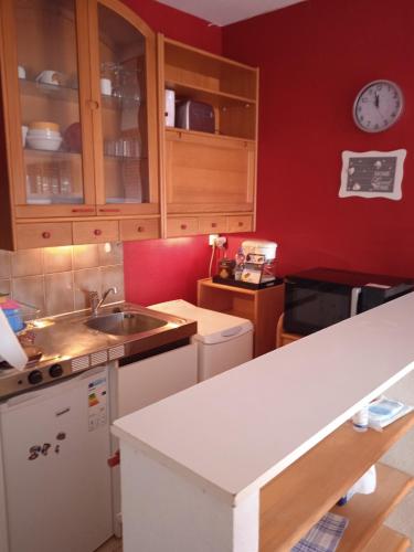 een keuken met rode muren, een wastafel en een aanrecht bij VICHY -Appartement coquet 2 pièces - Centre ville in Vichy