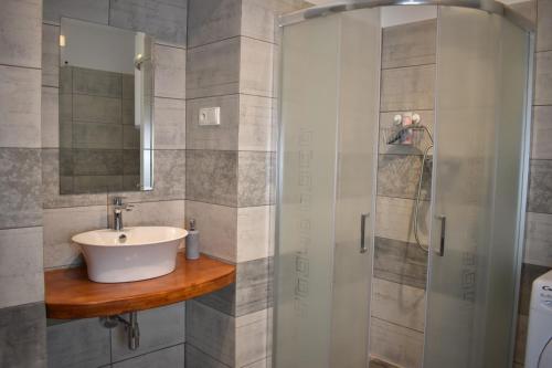W łazience znajduje się umywalka i przeszklony prysznic. w obiekcie Apartmán Na pětce w Znojmie