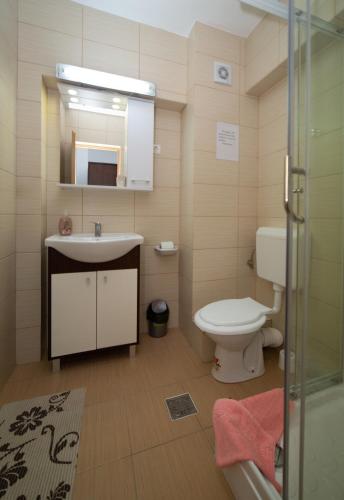 a bathroom with a sink and a toilet and a mirror at Agropensiunea Cetatuia in Luncaviţa