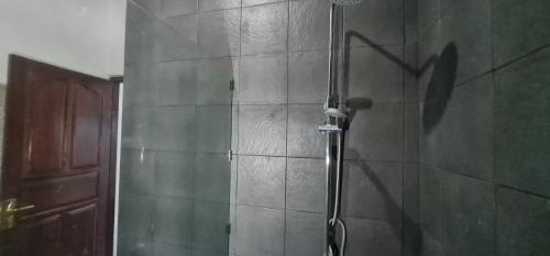 a shower in a bathroom with a glass door at Villa Jackson in Tejakula