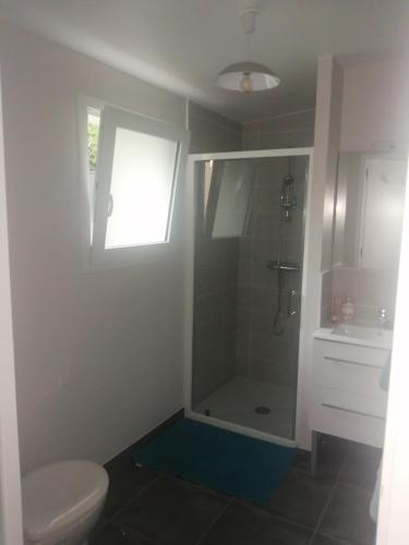 une salle de bain avec une douche, des toilettes et un lavabo dans l'établissement Palais des congrès - T2 charmant en baie de Saint-Brieuc entre Paimpol et Erquy, à Ploufragan
