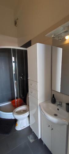 Gambar di galeri bagi Apartmani Niko Drašnice di Drašnice