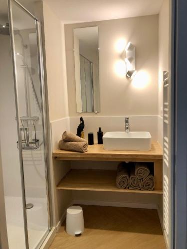 une salle de bain avec un lavabo et une douche dans l'établissement AU COEUR DE VANNES - VUE SUR LES REMPARTS - 2 CH, à Vannes