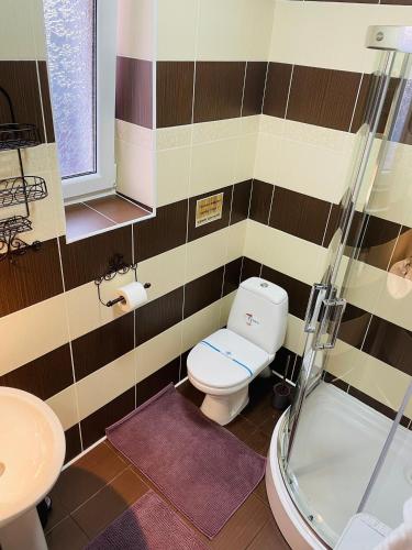 a bathroom with a toilet and a shower at Fachwerk in Yaremche