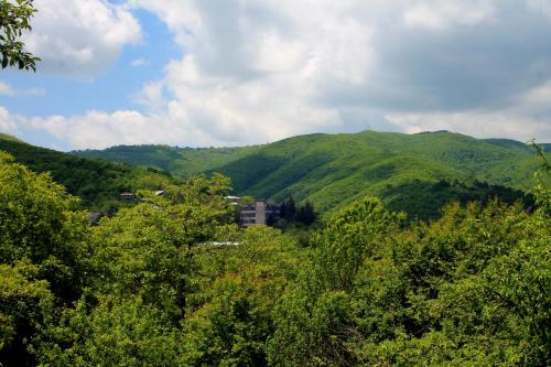 auliculiculiculiculiculiculiculiculiculiculiculiculiculiculic dans l'établissement Lilia guesthouse, à Sighnaghi