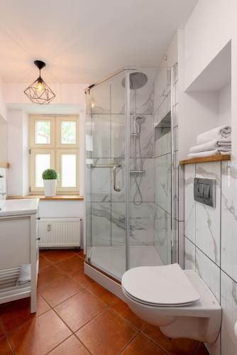 a bathroom with a shower with a toilet and a sink at PropertiesForYou in Bielsko-Biała