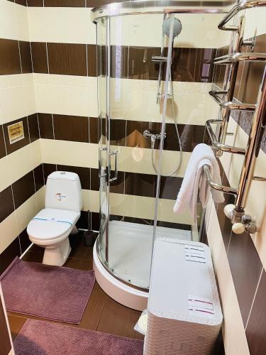 a bathroom with a shower and a toilet at Fachwerk in Yaremche