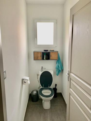 a bathroom with a toilet with a green seat at Magnifique villa in Dieupentale