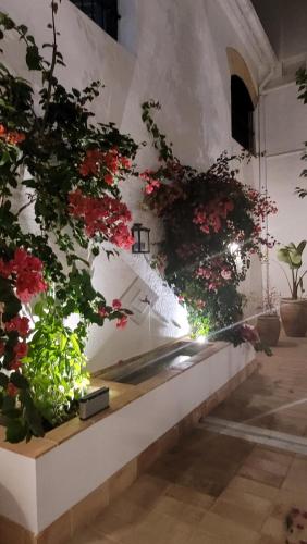 a display of flowers on a wall in a building at Albariza Hotel Boutique in Sanlúcar de Barrameda