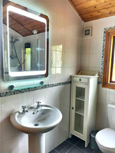 a bathroom with a sink and a mirror and a toilet at The Squirrel Lodge - Hot Tub - Pet Friendly - Pembrokeshire-Tenby in Carmarthen