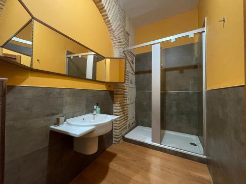 a bathroom with a sink and a shower at Palacio Santa Ursula in Toledo