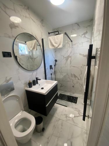 a bathroom with a toilet and a sink and a mirror at Holiday house Veli vrh in Pula