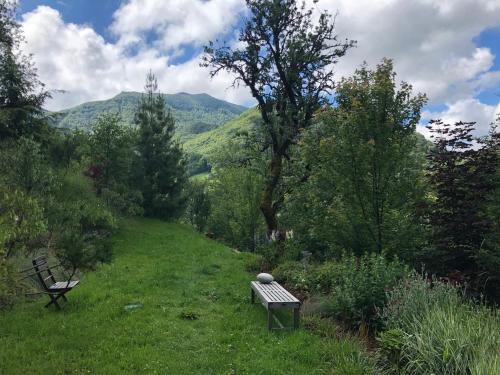 un banc assis dans un champ avec des montagnes en arrière-plan dans l'établissement au rocher de Combières, à Mandailles