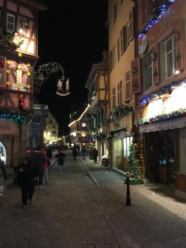 Tetamu yang menginap di ALSACE Gîte 3étoiles prox Marchés de Noël Colmar, Eguisheim, parking, calme