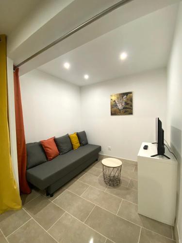 un salon avec un canapé et une télévision à écran plat dans l'établissement Studio République #5, à Perpignan