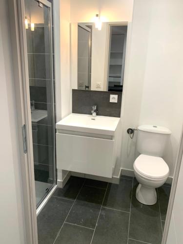 une salle de bain avec toilettes, lavabo et douche dans l'établissement Studio République #5, à Perpignan