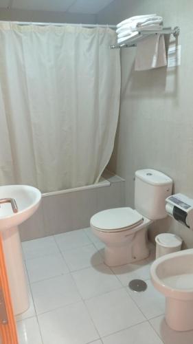 a bathroom with a toilet and a sink and a shower at Hotel Molino in Ronda