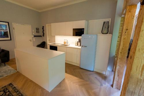 Kuchyň nebo kuchyňský kout v ubytování Apartment in historischer Villa mit Parkplatz