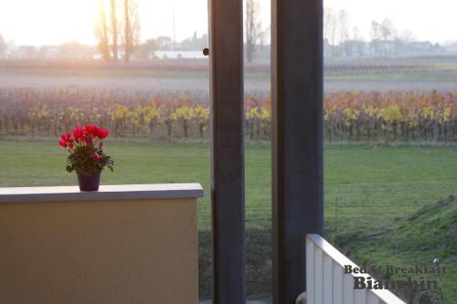 Jardín al aire libre en B&B Bianchin via Trieste 67 Fiumicello-Villa Vicentina