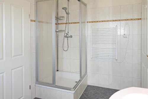 een badkamer met een douche en een glazen deur bij Wiesengrund 9a Wohnung Bornholm in Wittenbeck