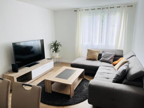 sala de estar con sofá y TV de pantalla plana en Appartement spacieux, en Clichy-sous-Bois