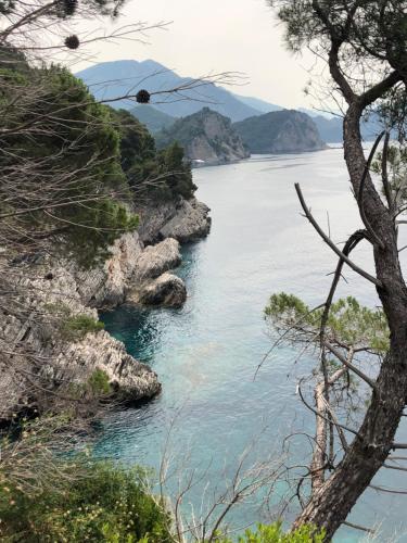 Φυσικό τοπίο κοντά σε αυτό το διαμέρισμα