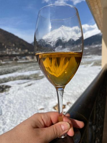a person is holding a glass of wine at Mestia Residence in Mestia