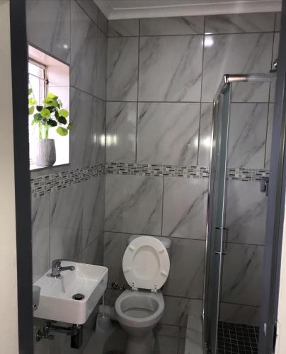 a bathroom with a toilet and a sink and a shower at Pomona Lodge in Kempton Park