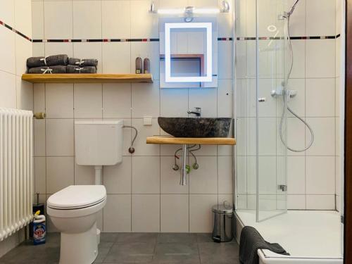 La salle de bains est pourvue de toilettes, d'un lavabo et d'une douche. dans l'établissement Im Süden, à Ettenheim