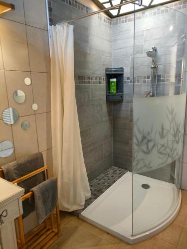 une douche avec une porte vitrée dans une salle de bain dans l'établissement MAS VALLCROSA Chambre suite parentale avec jardin et piscine, à Camélas