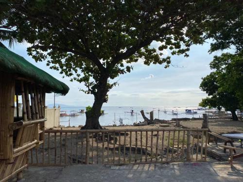a tree on the beach with a wooden fence at Golden Kirins Beach Resort in Lian