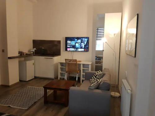 TV a/nebo společenská místnost v ubytování Maximilian central apartment