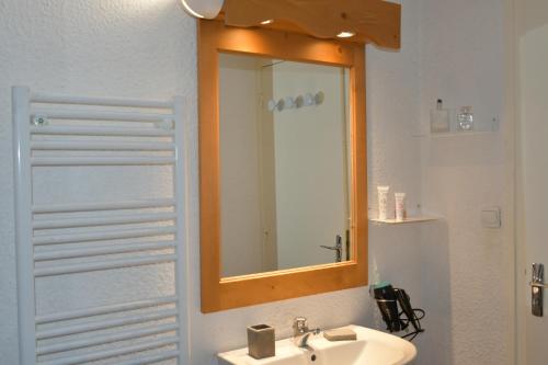 uma casa de banho com um lavatório e um espelho em Grand studio 6 pers. Super Besse, Résidence *** em Besse-et-Saint-Anastaise